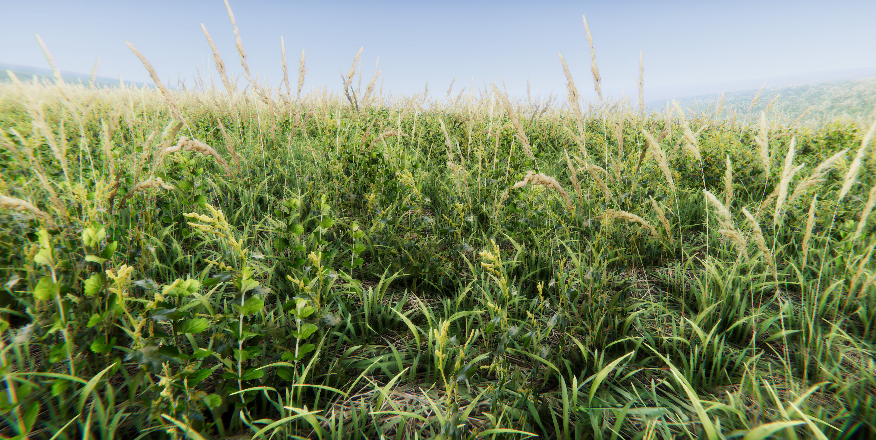 Realistic Grass Flowers Pack Texture_33