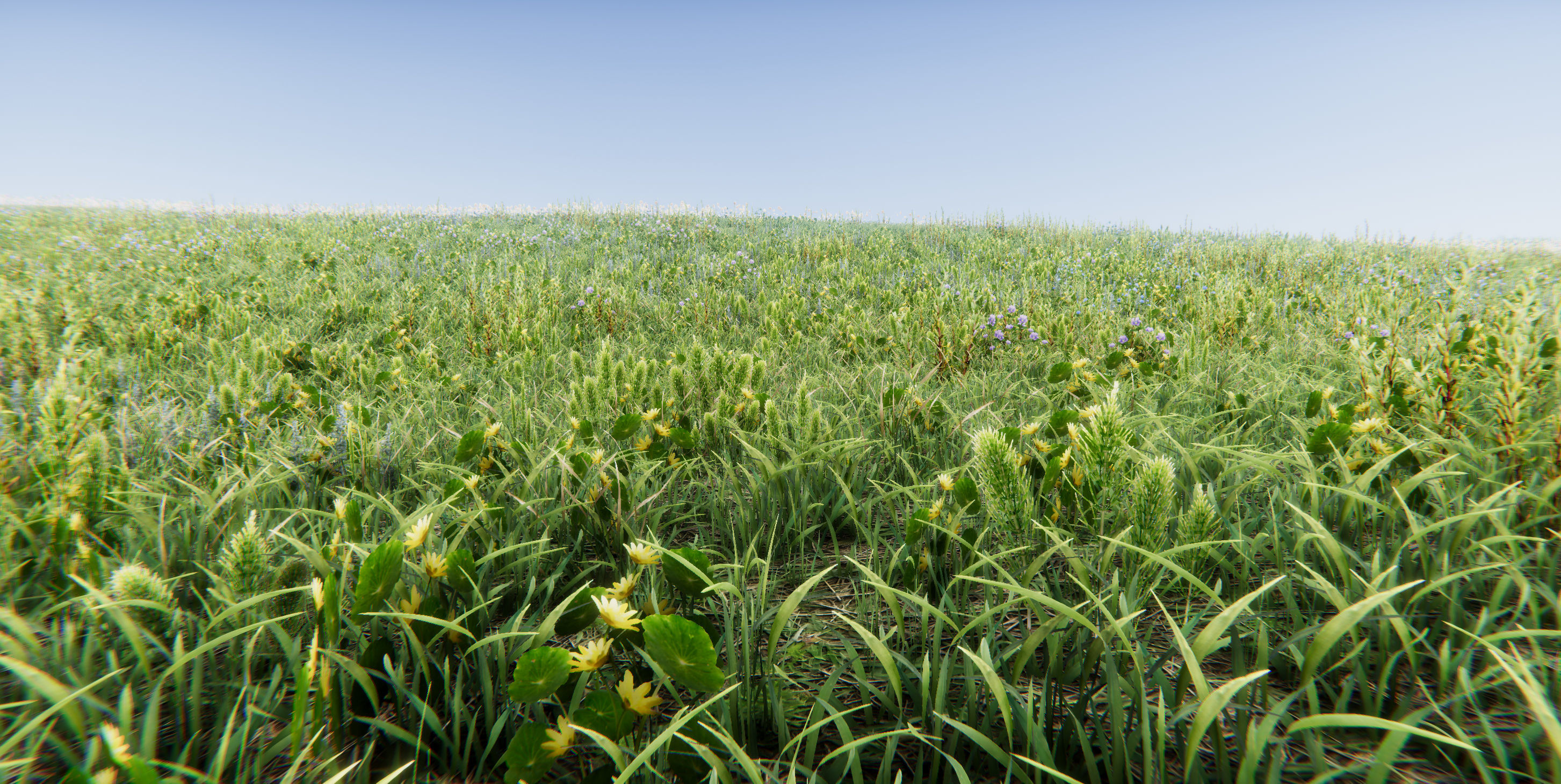 Realistic Grass Flowers Pack Texture_41