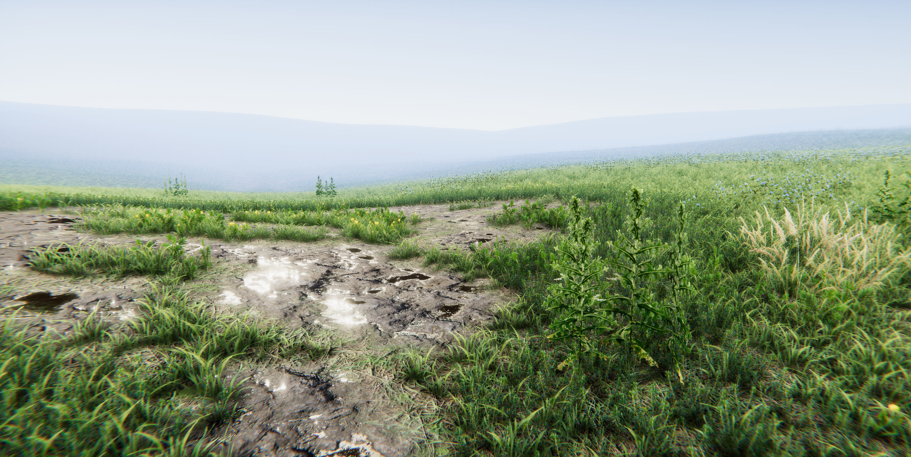 Realistic Grass Flowers Pack Texture_21