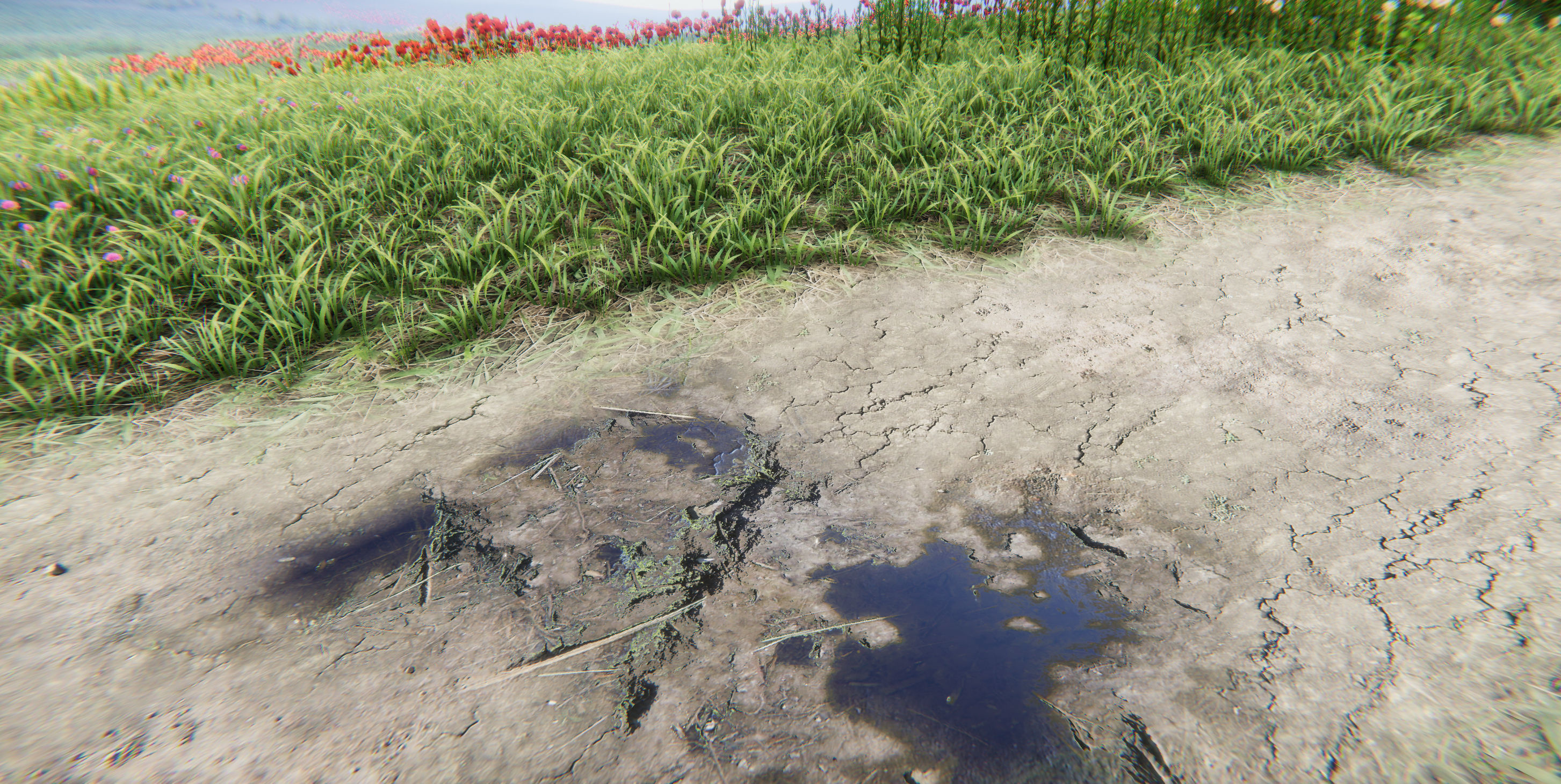 Realistic Grass Flowers Pack Texture_9