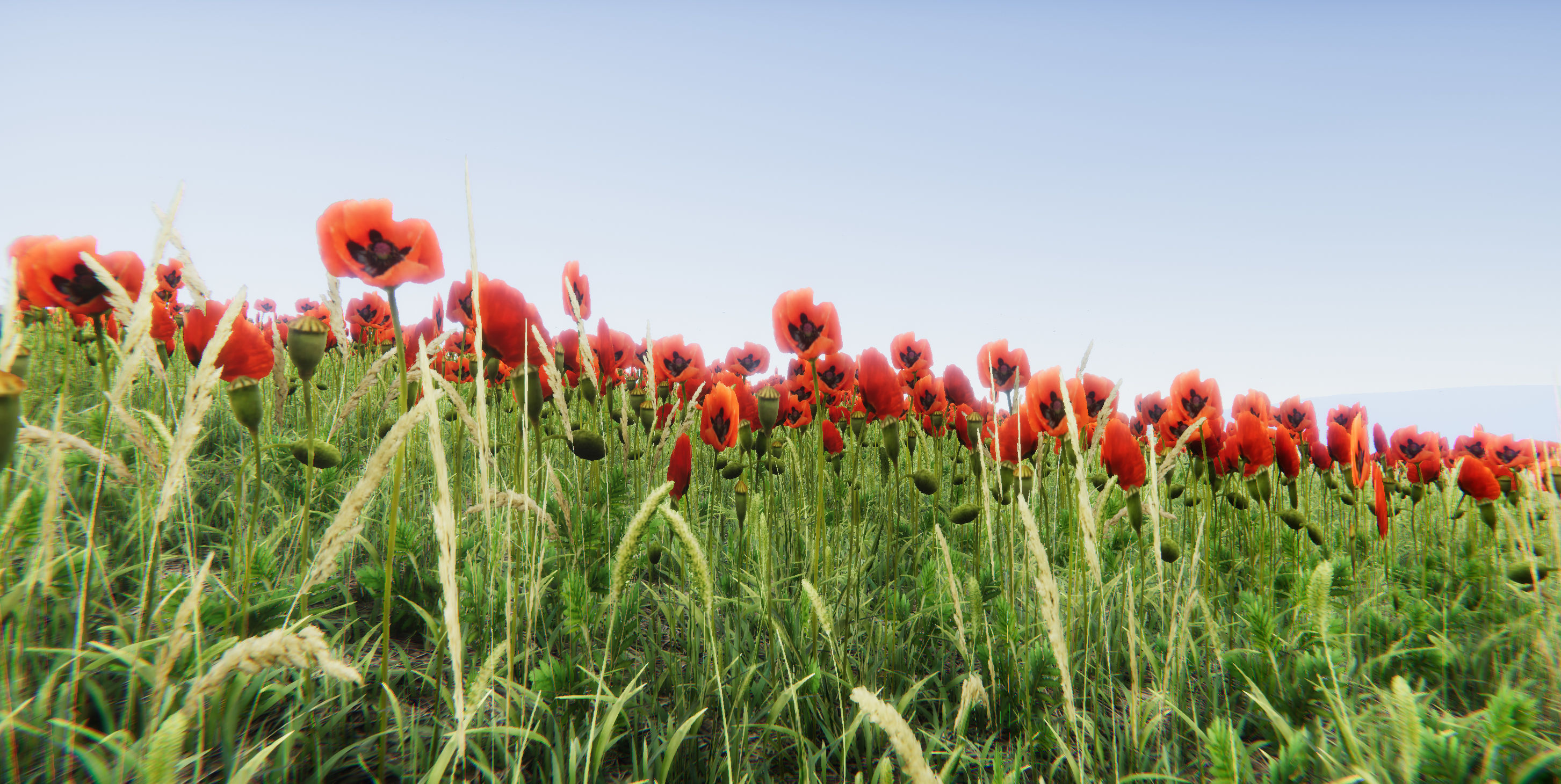 Realistic Grass Flowers Pack Texture_6