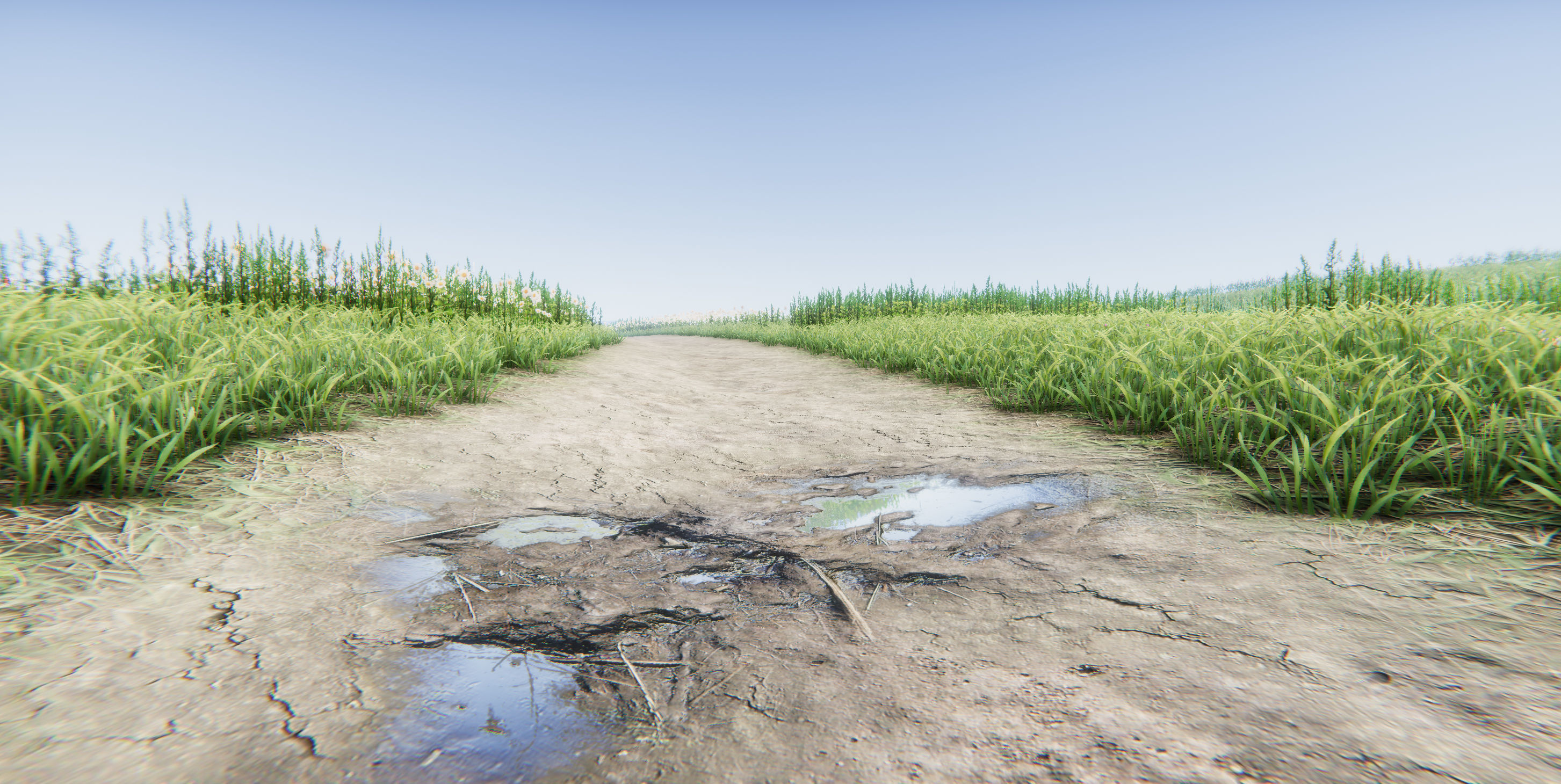 Realistic Grass Flowers Pack Texture_45