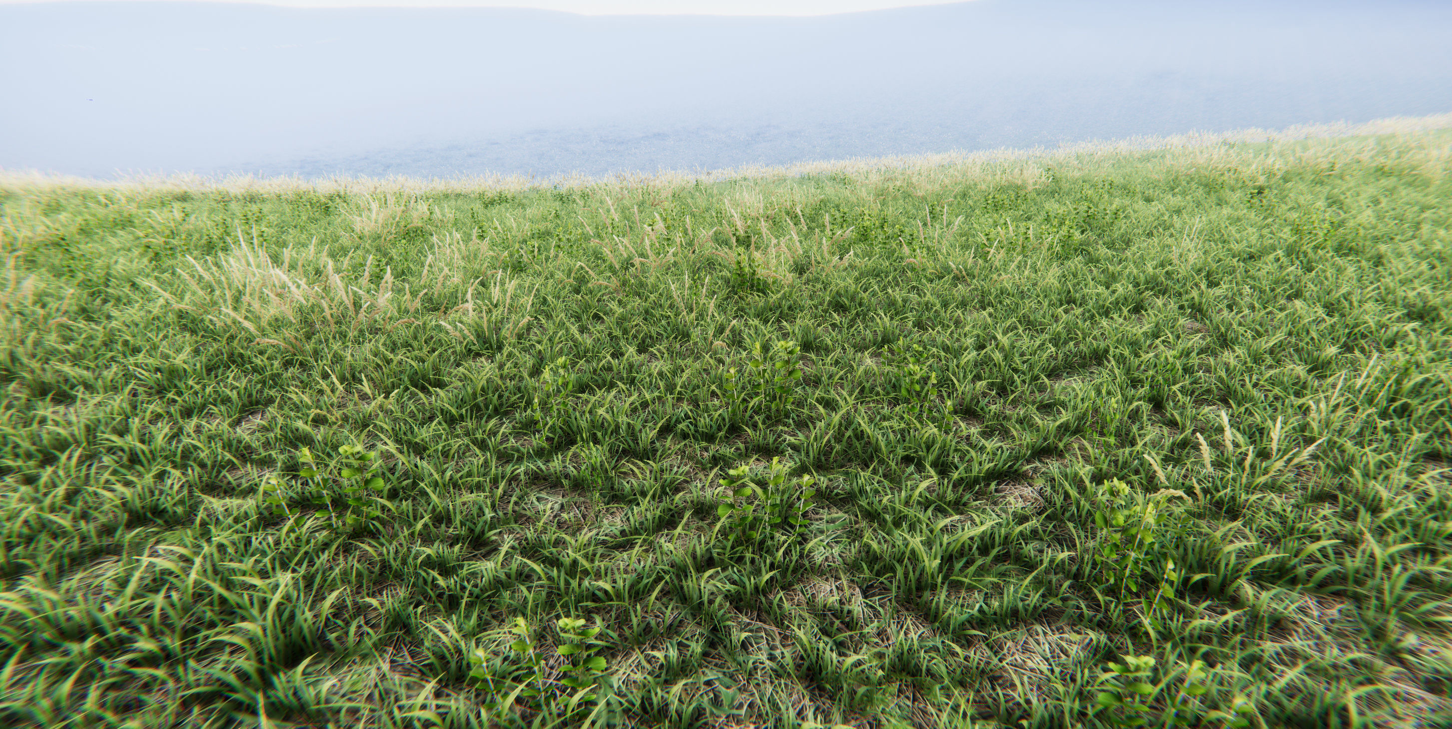 Realistic Grass Flowers Pack Texture_26