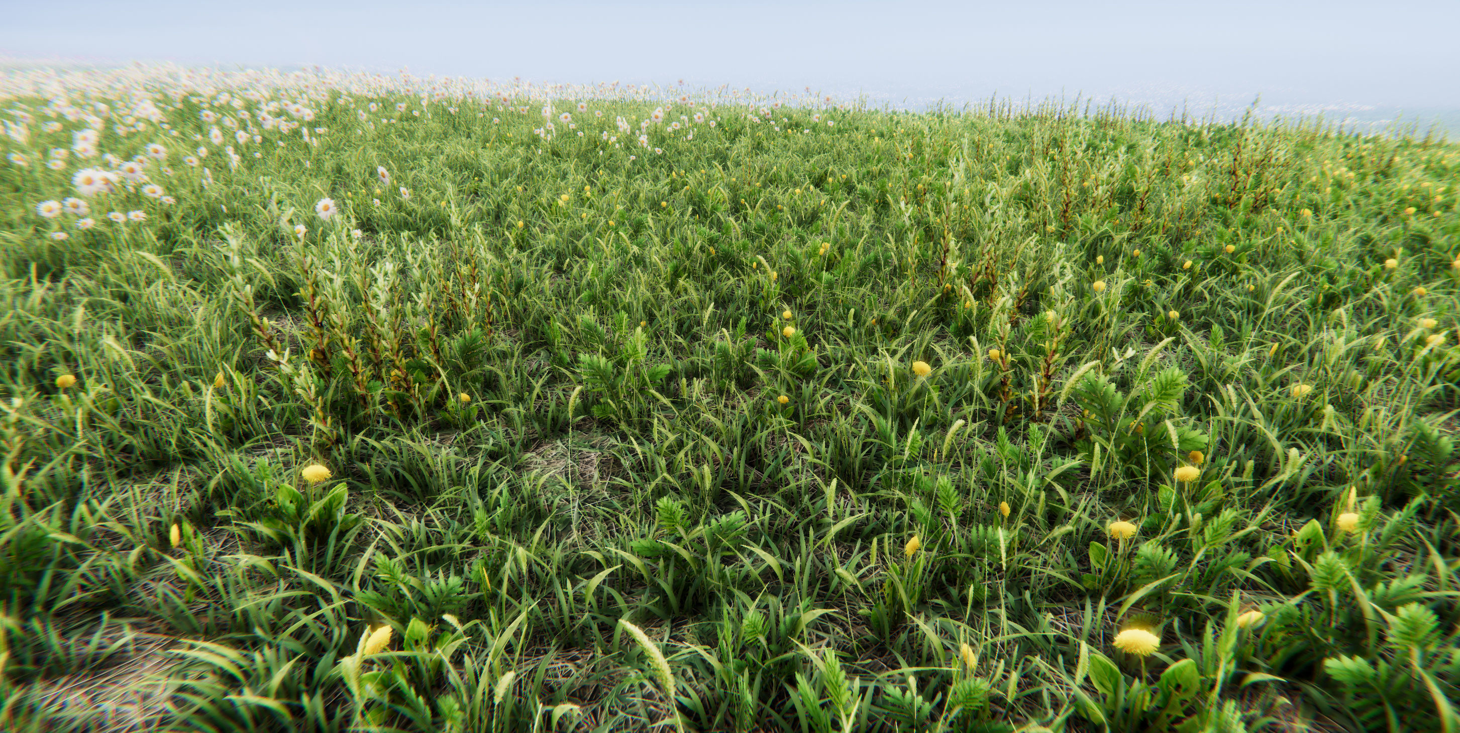 Realistic Grass Flowers Pack Texture_17