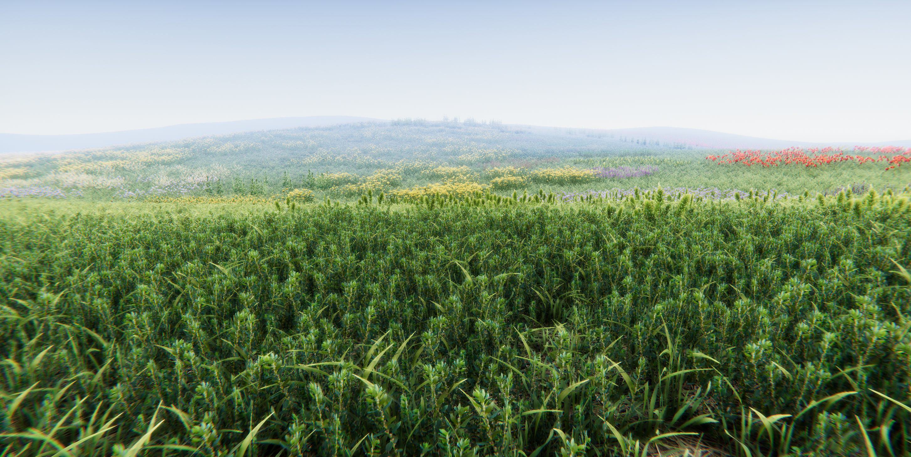 Realistic Grass Flowers Pack Texture_47