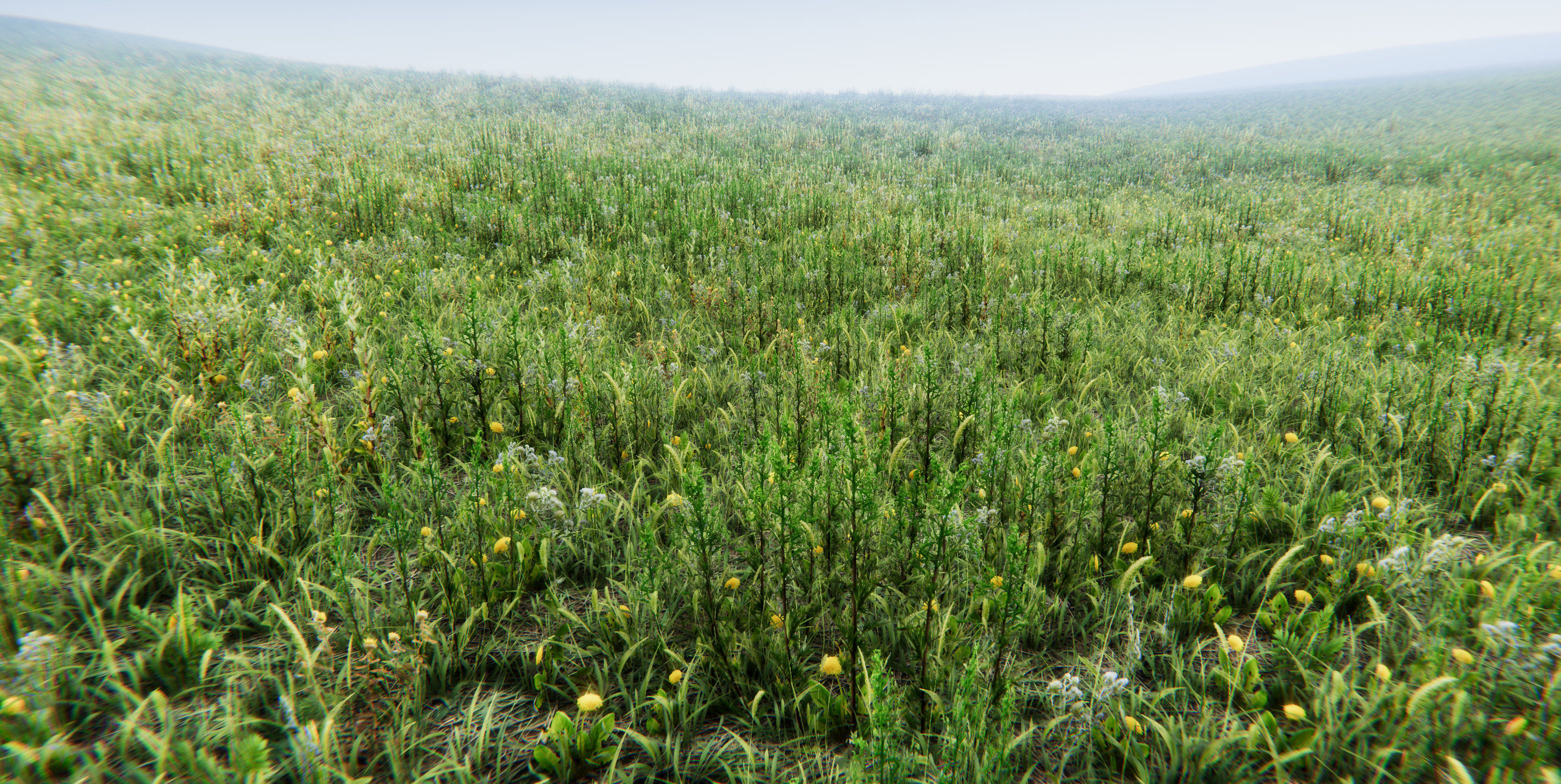 Realistic Grass Flowers Pack Texture_34