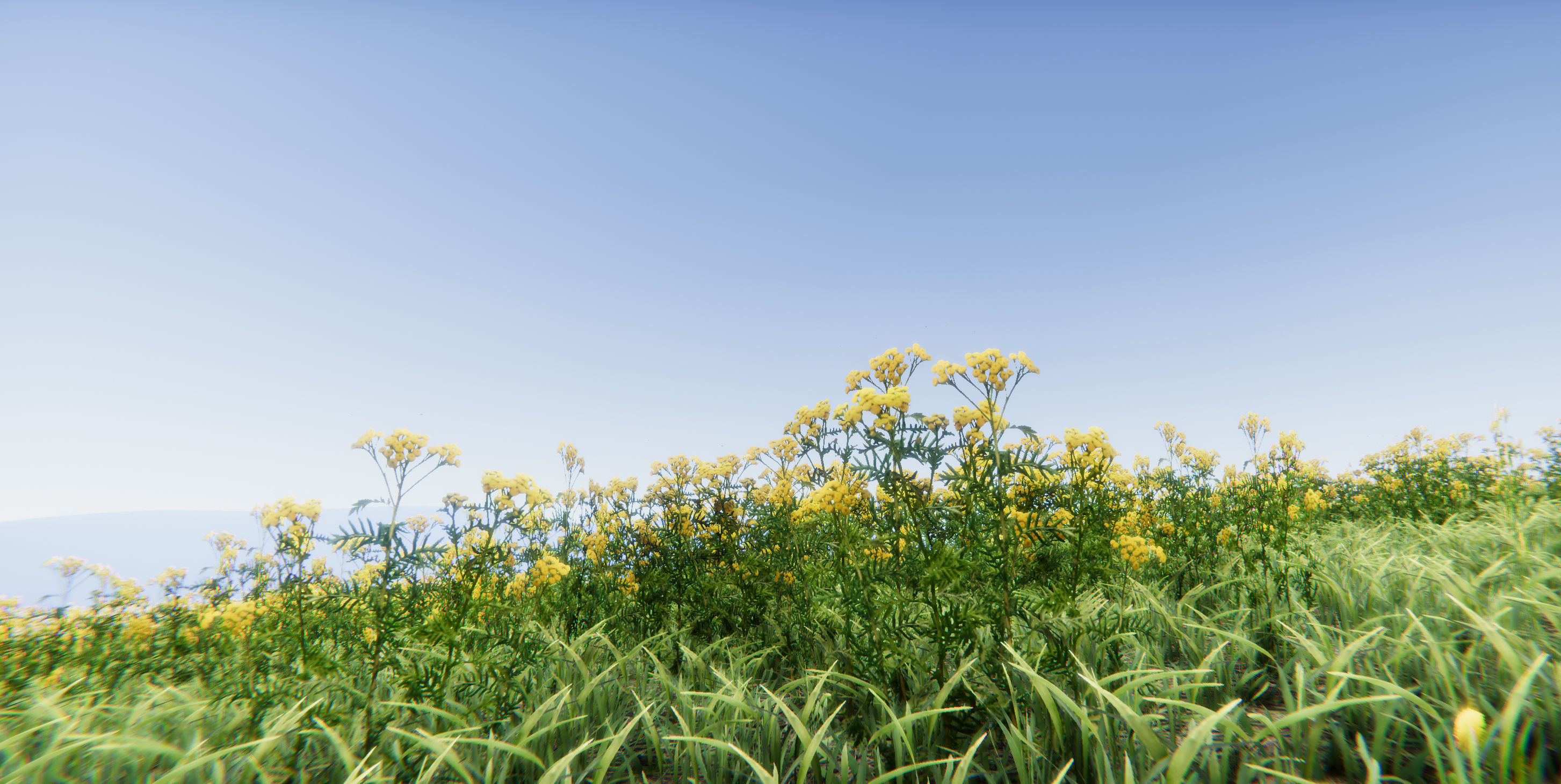 Realistic Grass Flowers Pack Texture_15