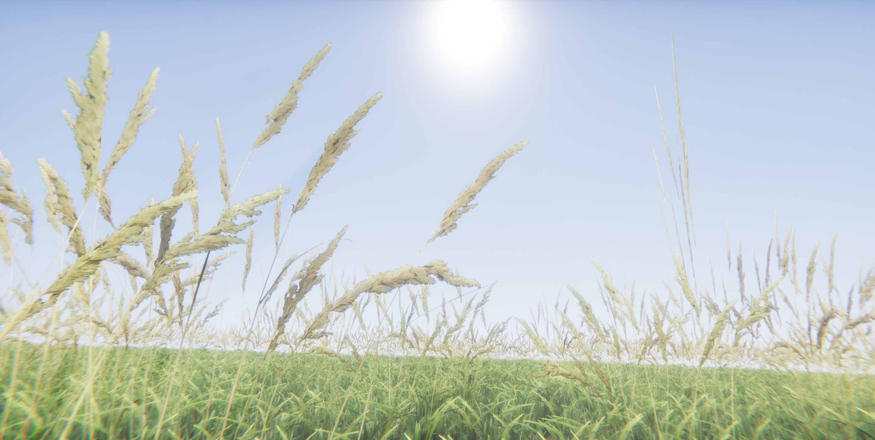 Realistic Grass Flowers Pack Texture_32