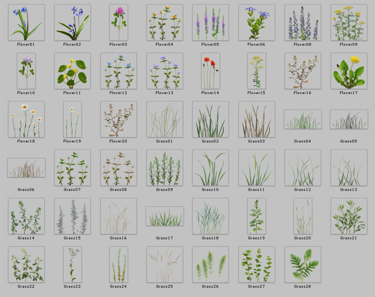 Realistic Grass Flowers Pack Texture_2