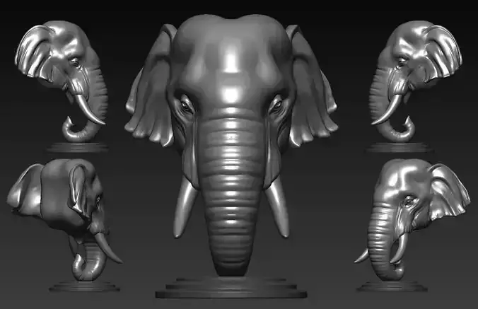 Elephant Asian Bust 3D print model