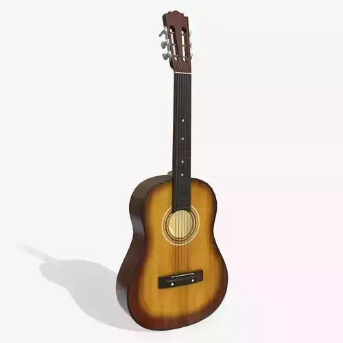 Acoustic Guitar