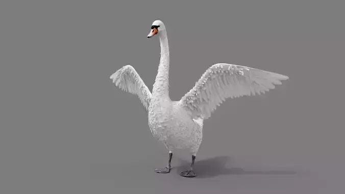 Realistic Swan