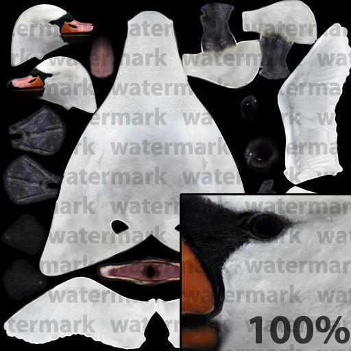 Realistic Swan 3D model_2