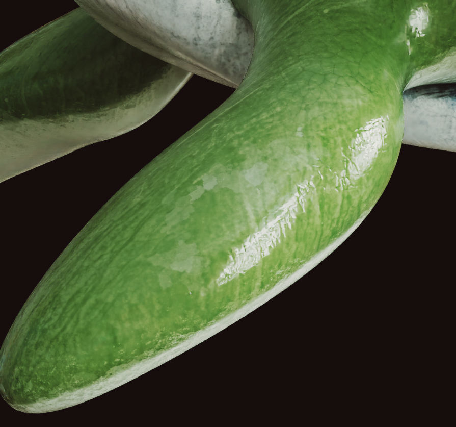 Turtle cute statue 3D model_10