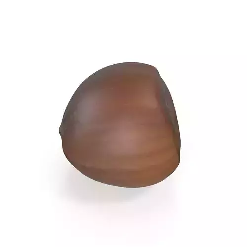 Realistic Hazelnut 3D model acorn stool