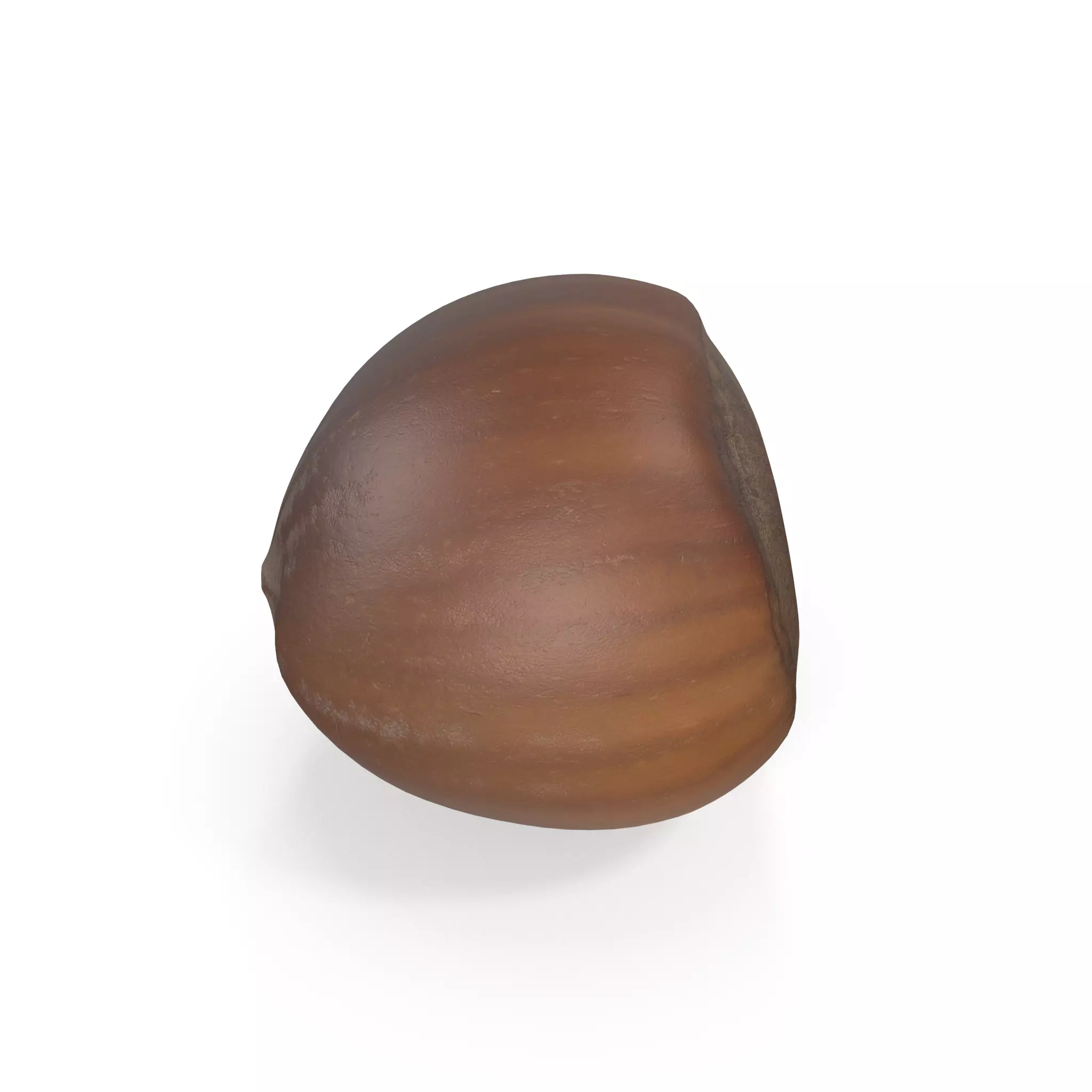Realistic Hazelnut 3D model acorn stool 3D model_0