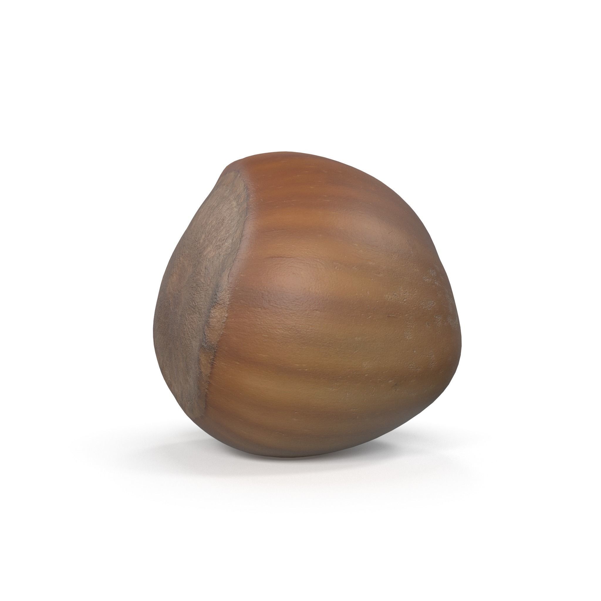 Realistic Hazelnut 3D model acorn stool 3D model_3