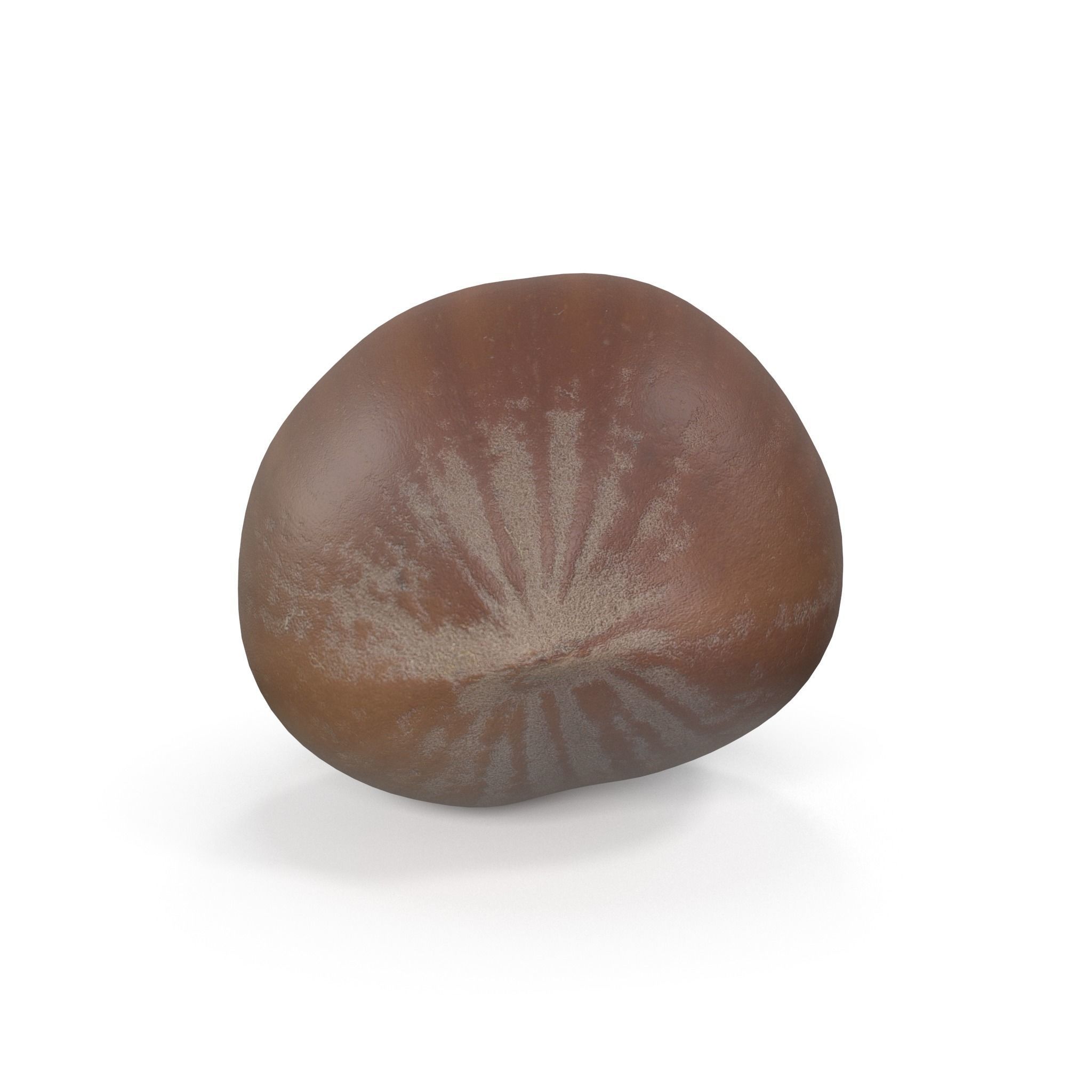 Realistic Hazelnut 3D model acorn stool 3D model_2