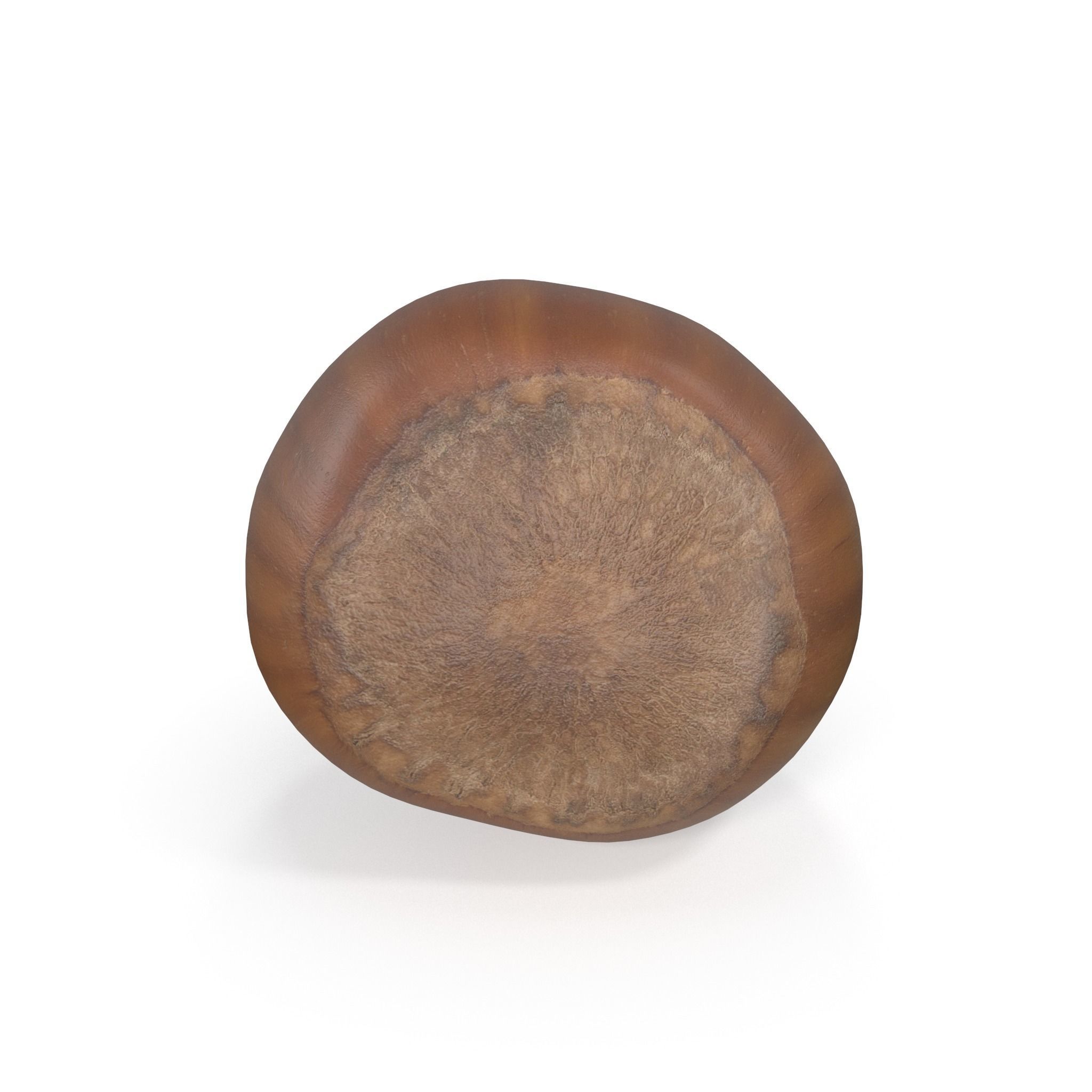 Realistic Hazelnut 3D model acorn stool 3D model_1