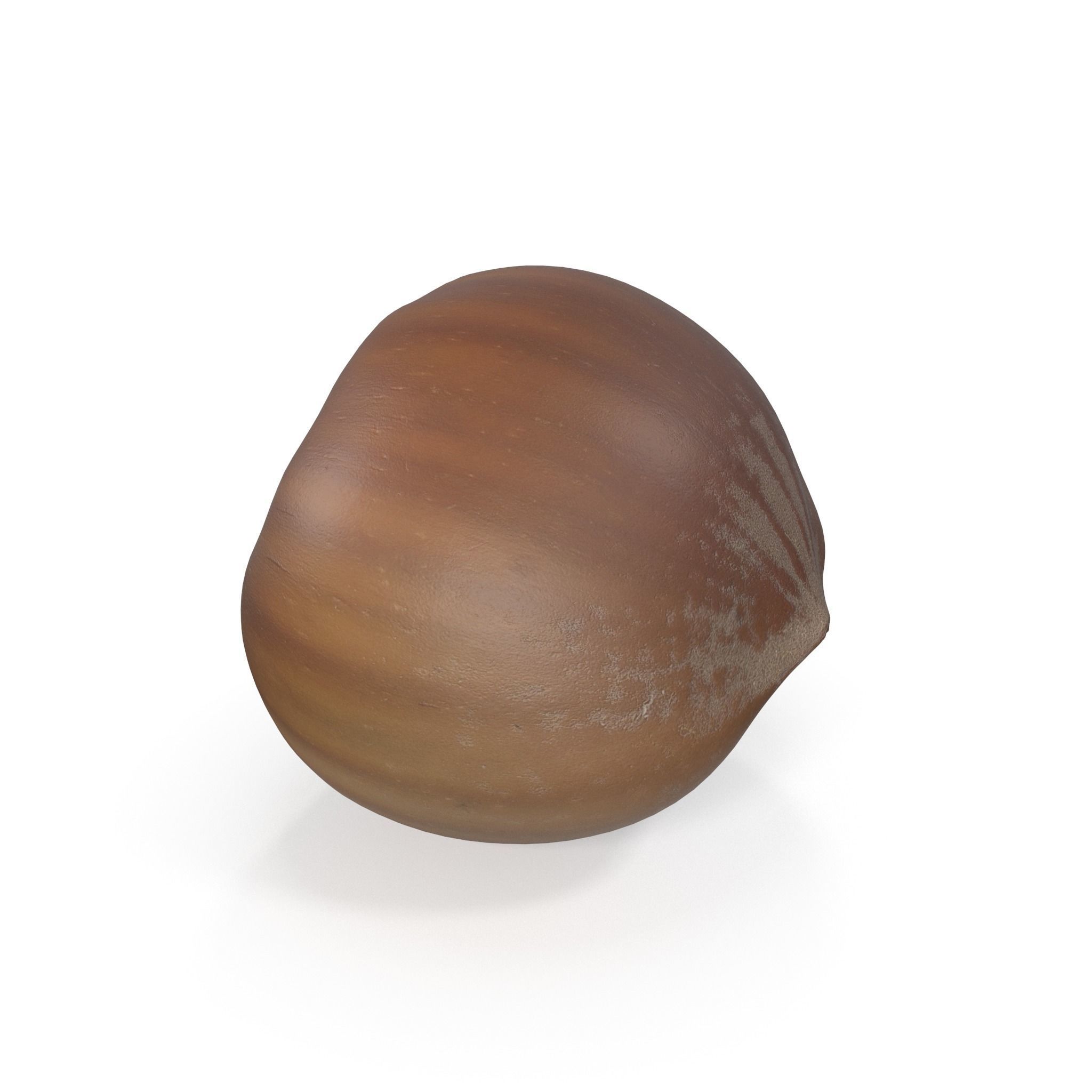 Realistic Hazelnut 3D model acorn stool 3D model_4