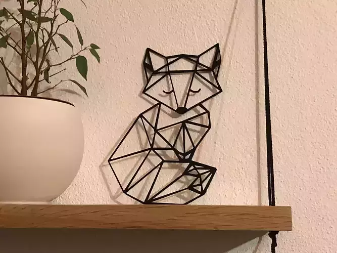 Geometric Fox