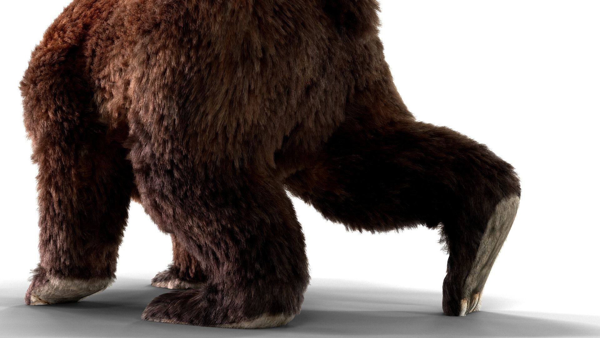 Fur Brown Bear animated  Low-poly 3D model_6