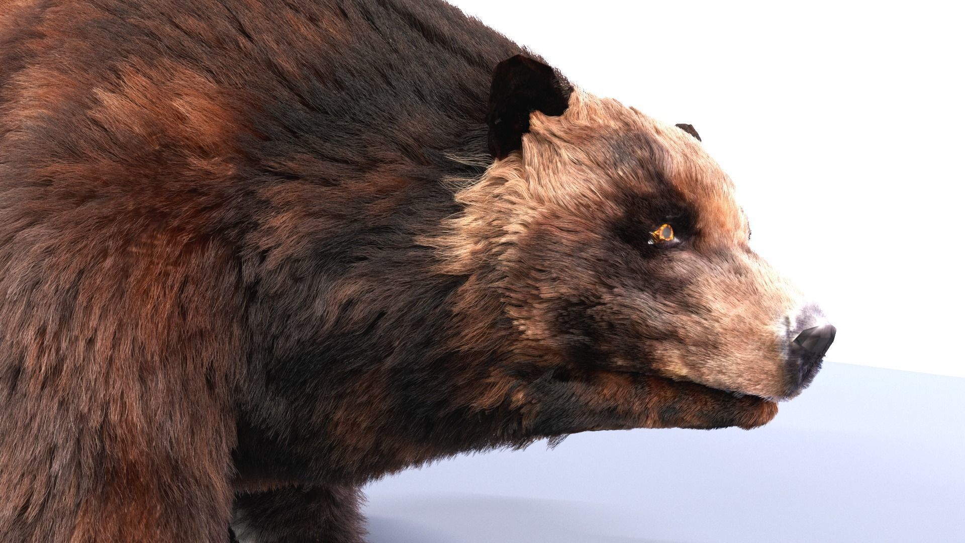 Fur Brown Bear animated  Low-poly 3D model_2