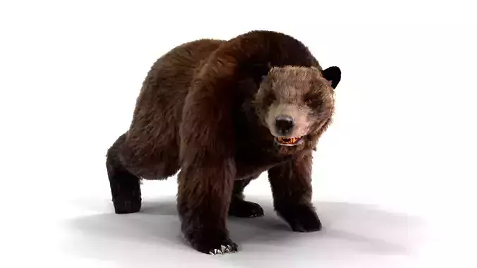 Fur Brown Bear animated  Low-poly 3D model