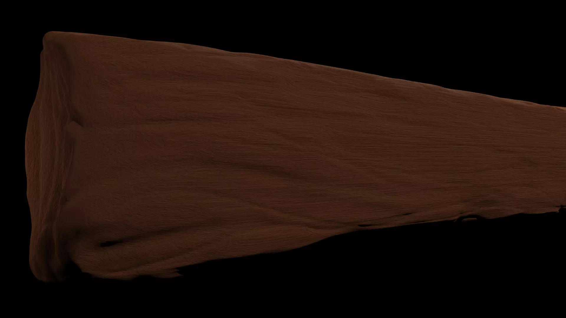 Wood plank Free 3D model_0