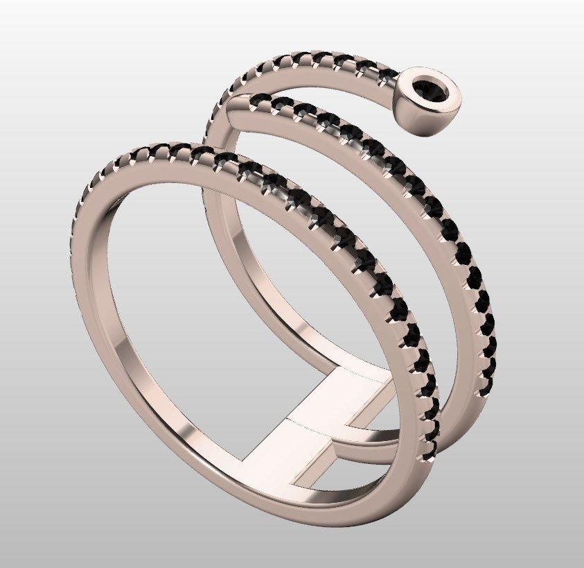 Ring iz43 3D print model_14
