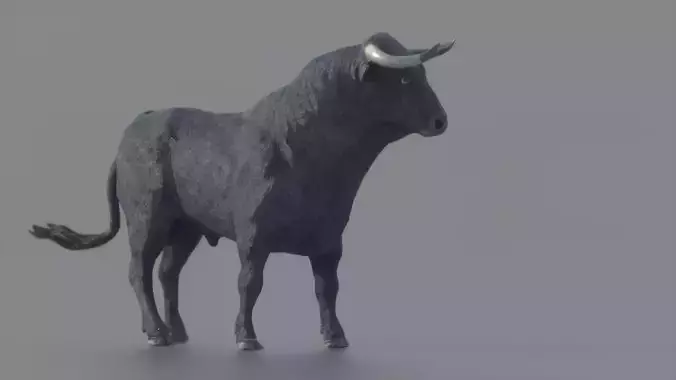 Spanish Fighting Bull Low-poly 3D model