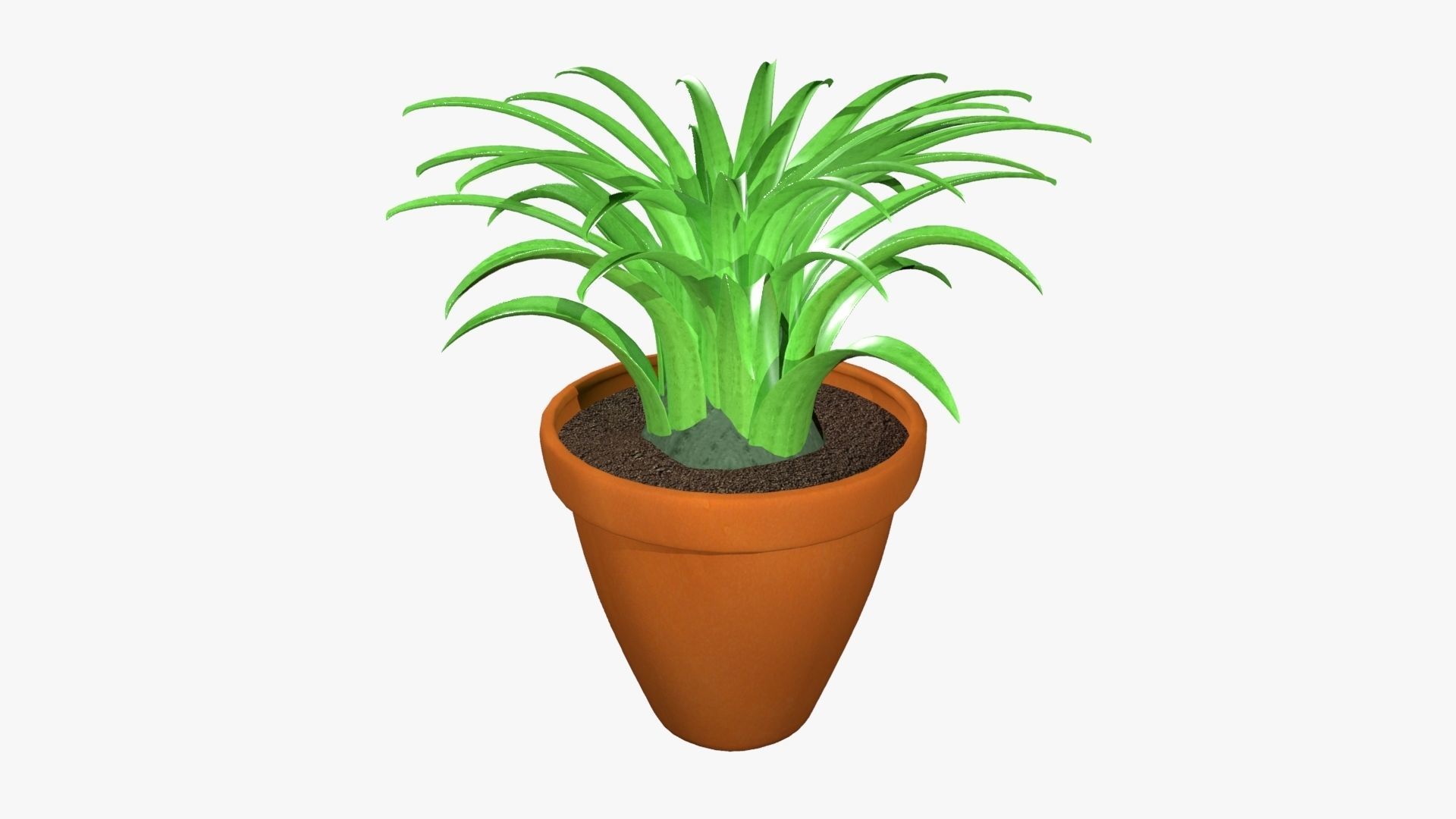 Tillandsia plant 3D model_21