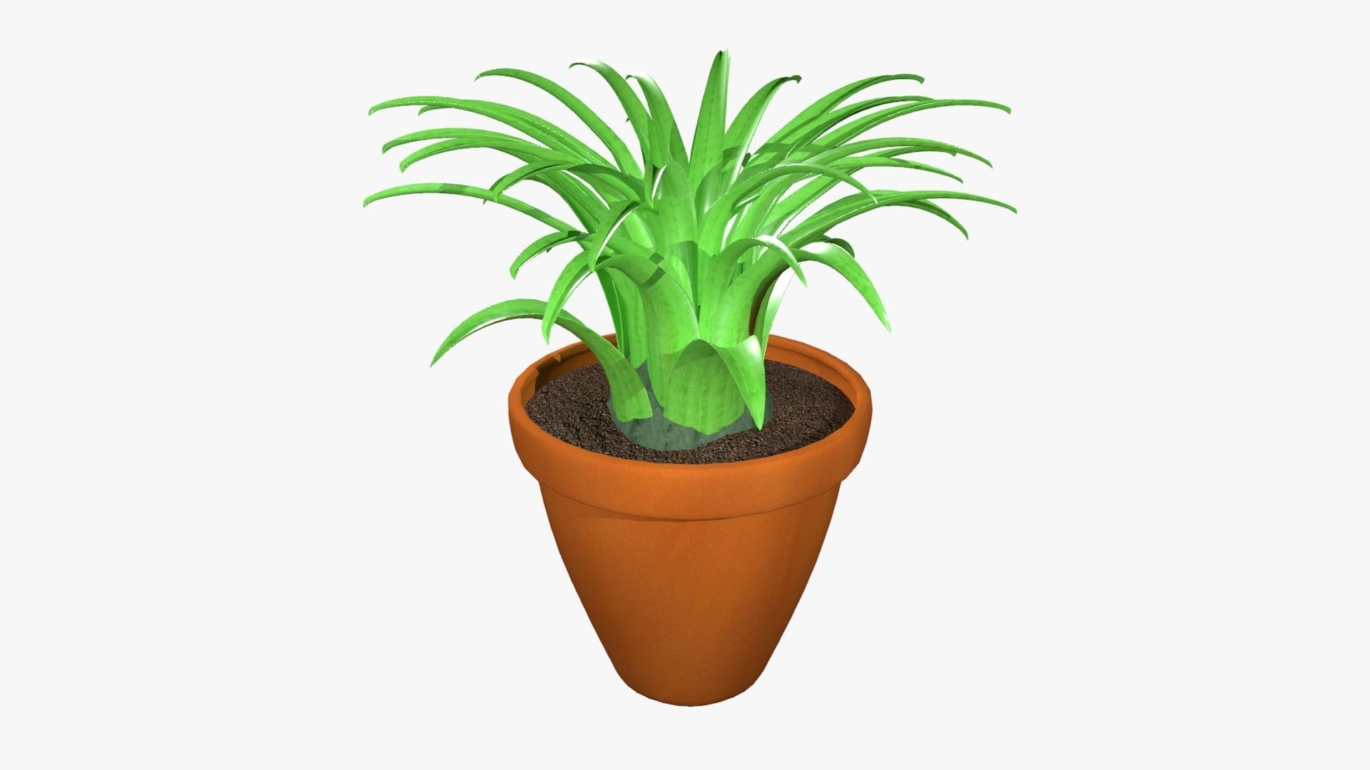 Tillandsia plant 3D model_4