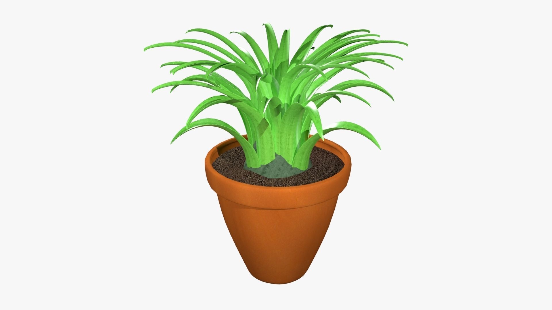 Tillandsia plant 3D model_22