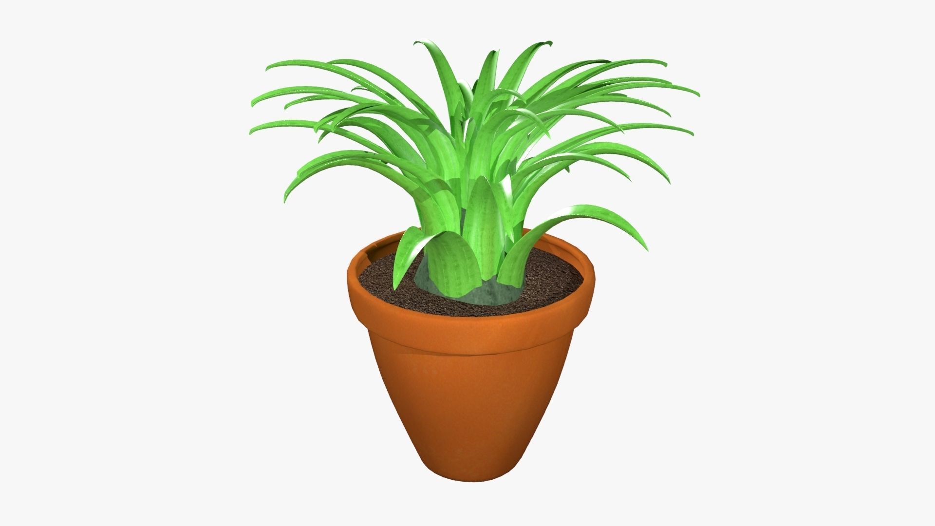 Tillandsia plant 3D model_17