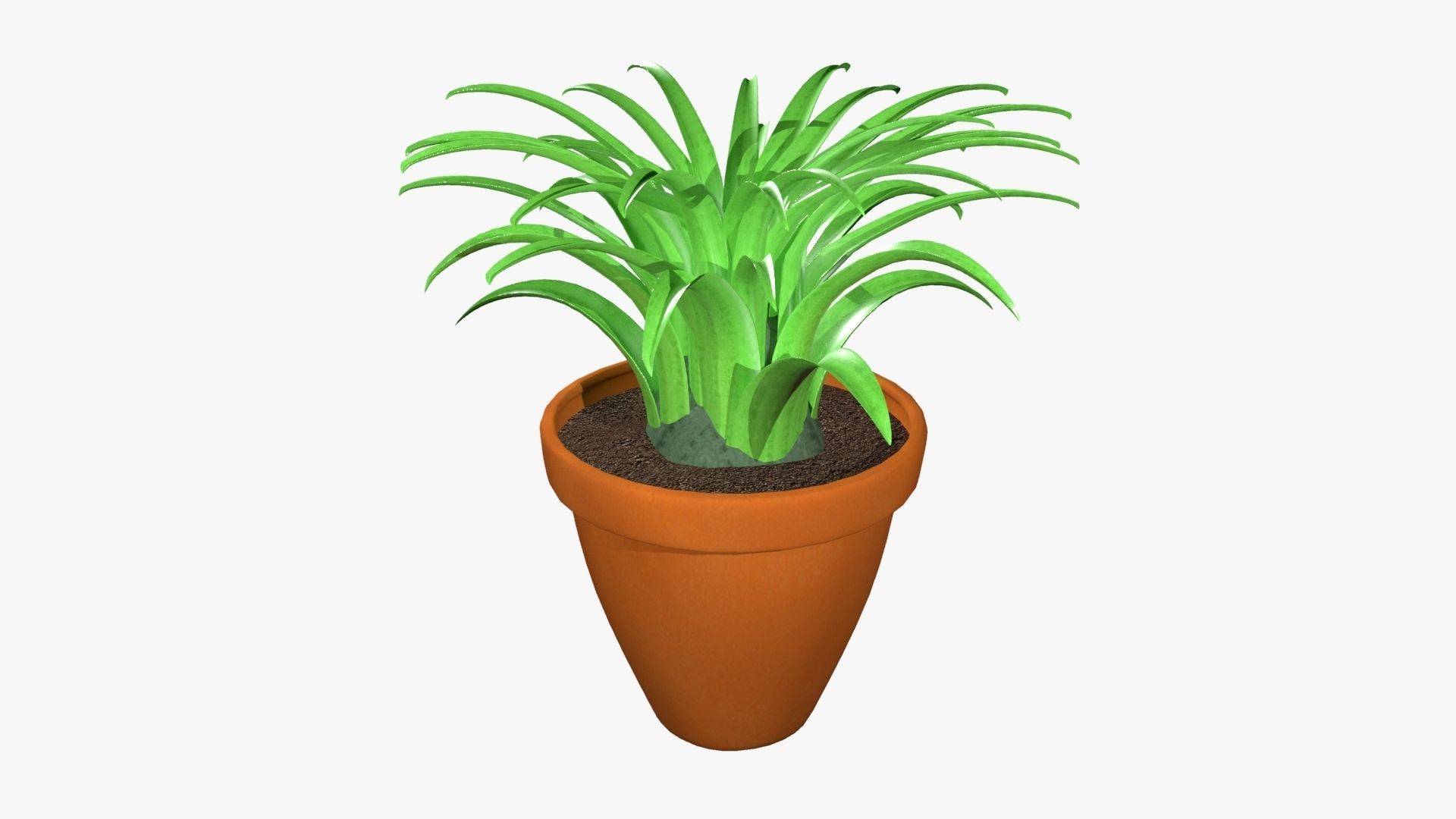 Tillandsia plant 3D model_20