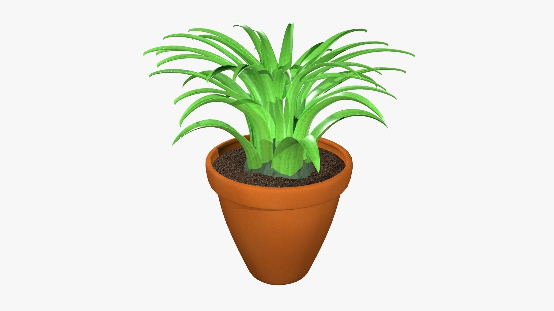 Tillandsia plant 3D model_9