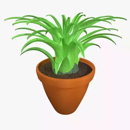 Tillandsia plant 3D model