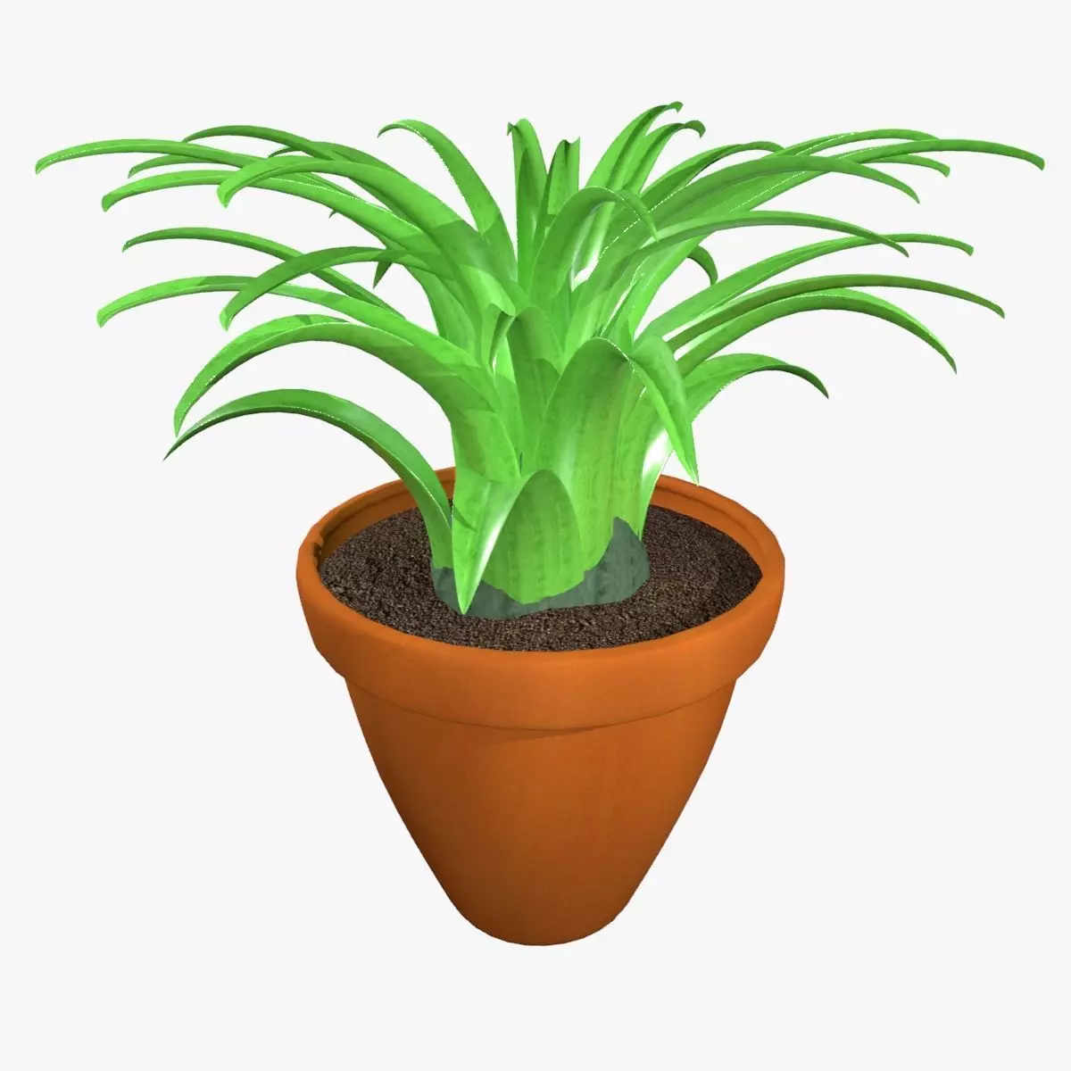 Tillandsia plant 3D model_0