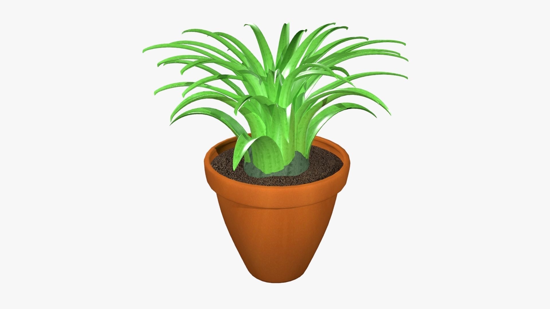 Tillandsia plant 3D model_2