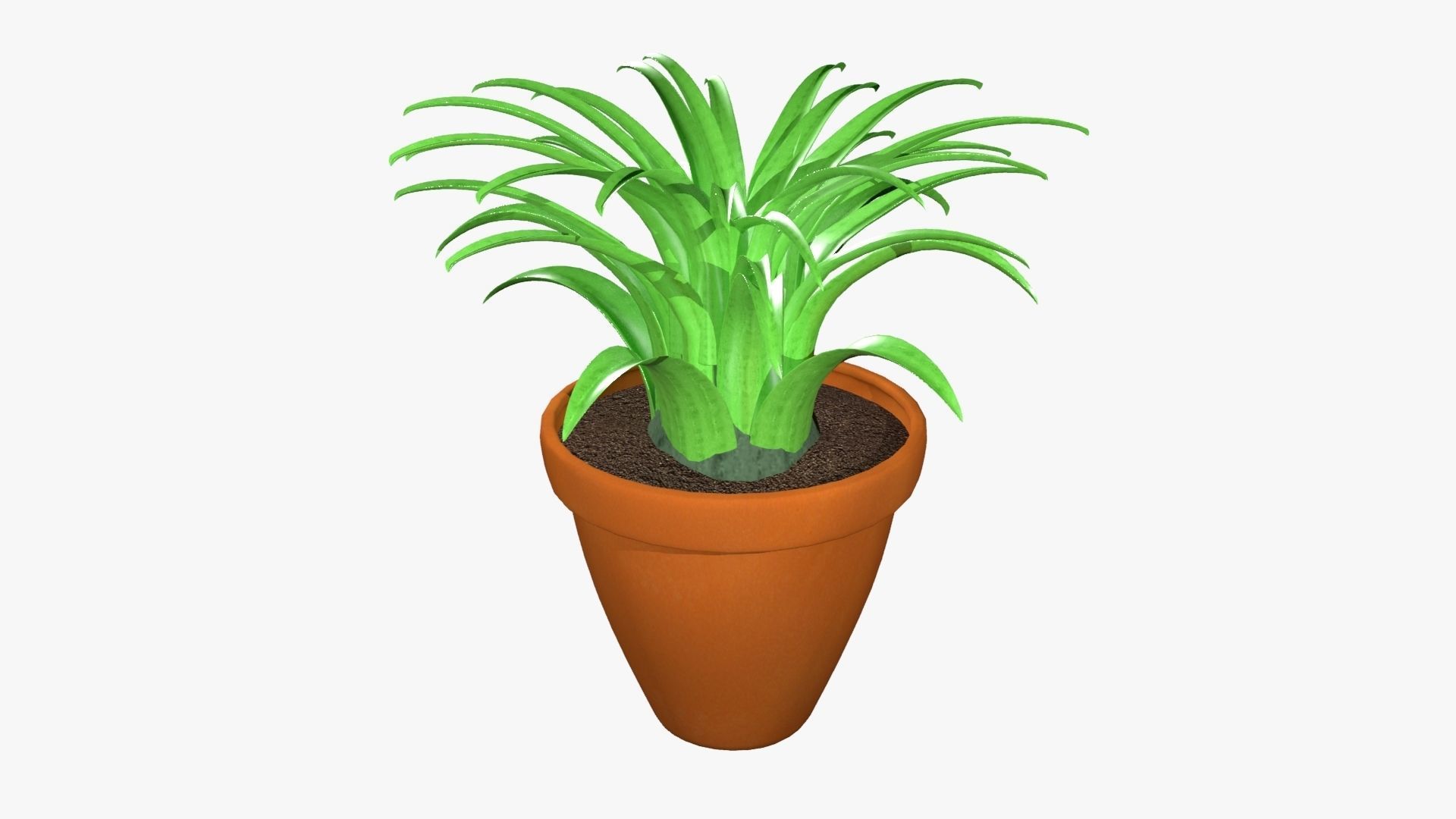 Tillandsia plant 3D model_6
