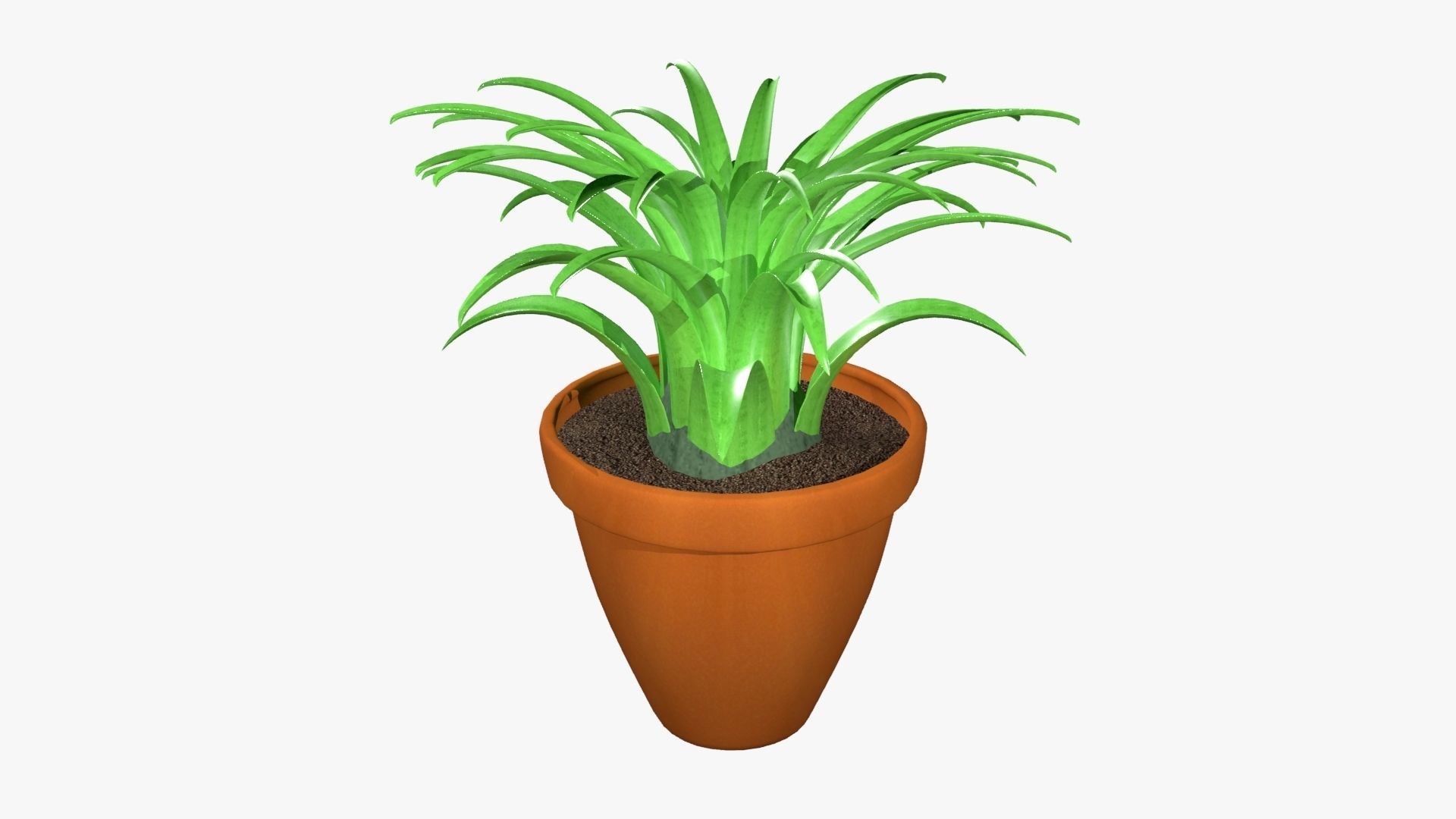 Tillandsia plant 3D model_13