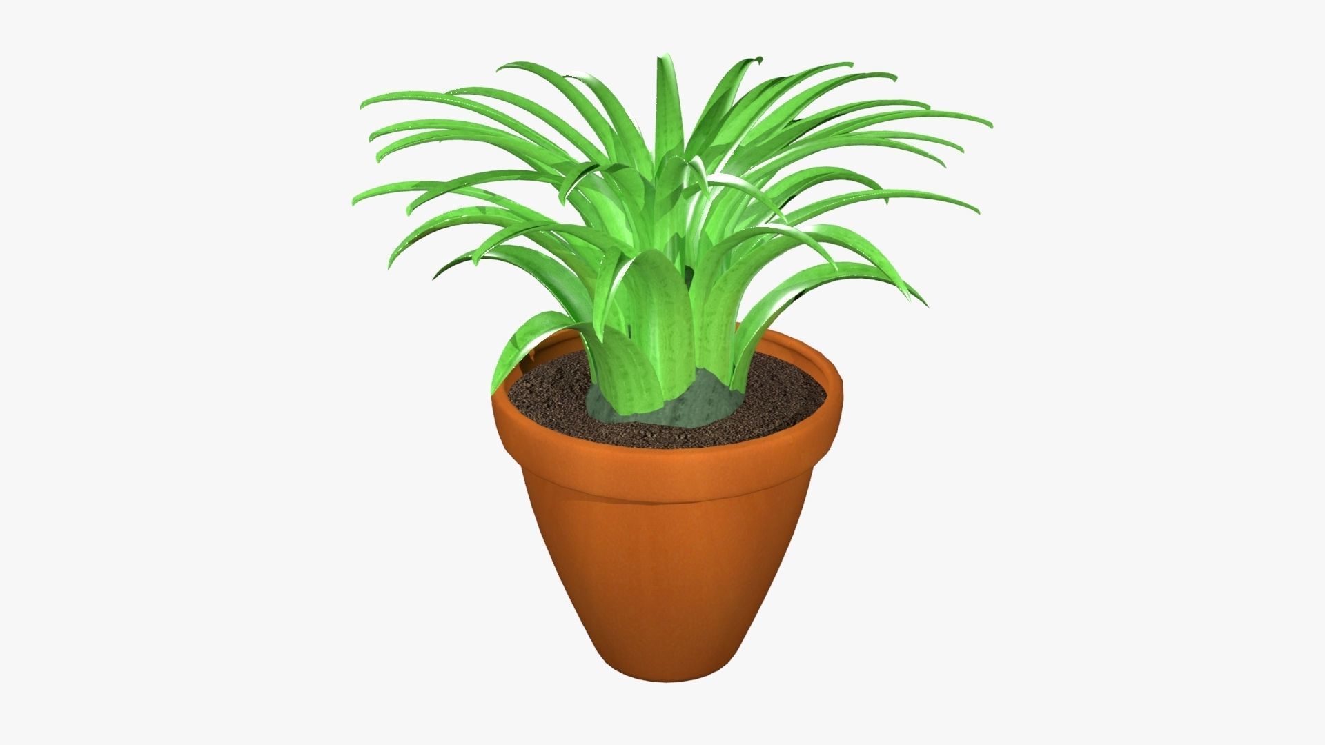 Tillandsia plant 3D model_1
