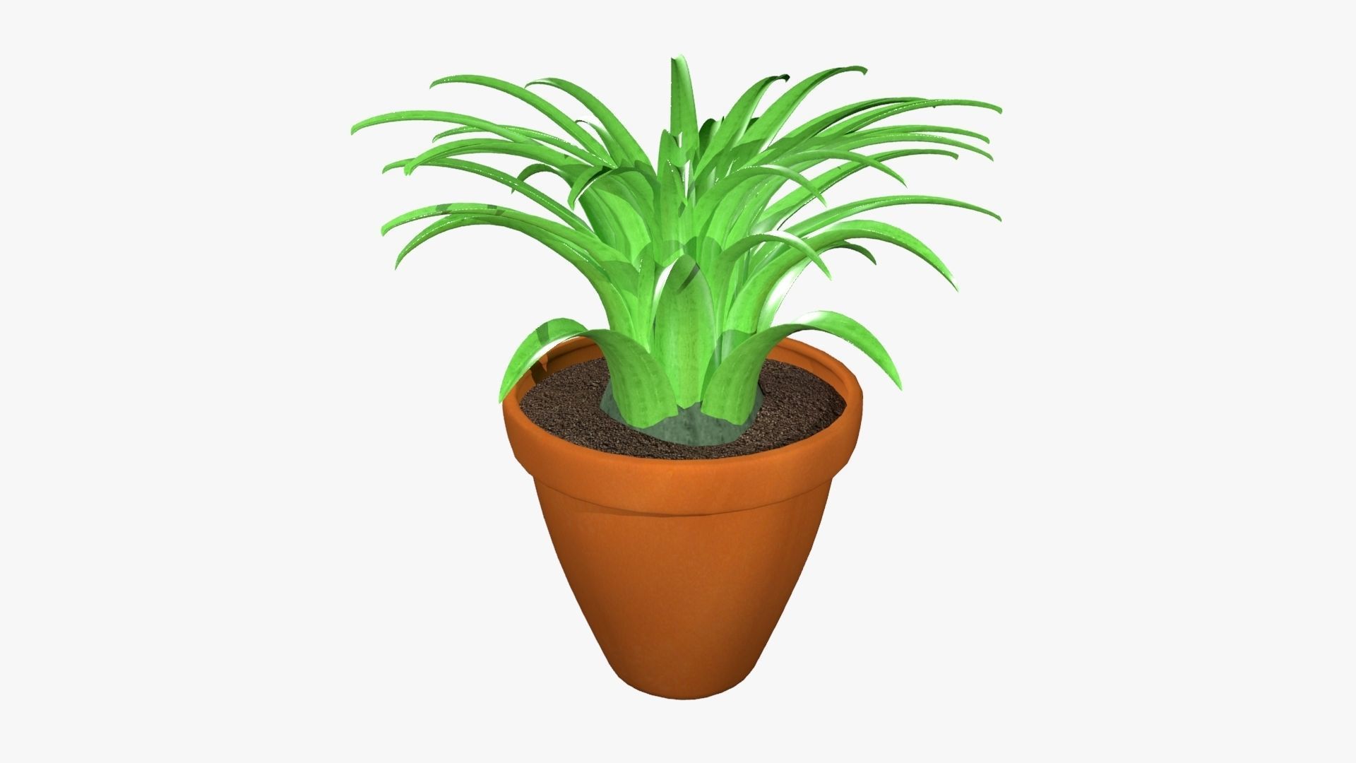 Tillandsia plant 3D model_16