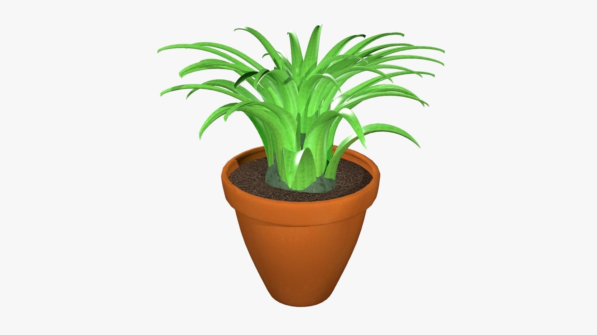 Tillandsia plant 3D model_18