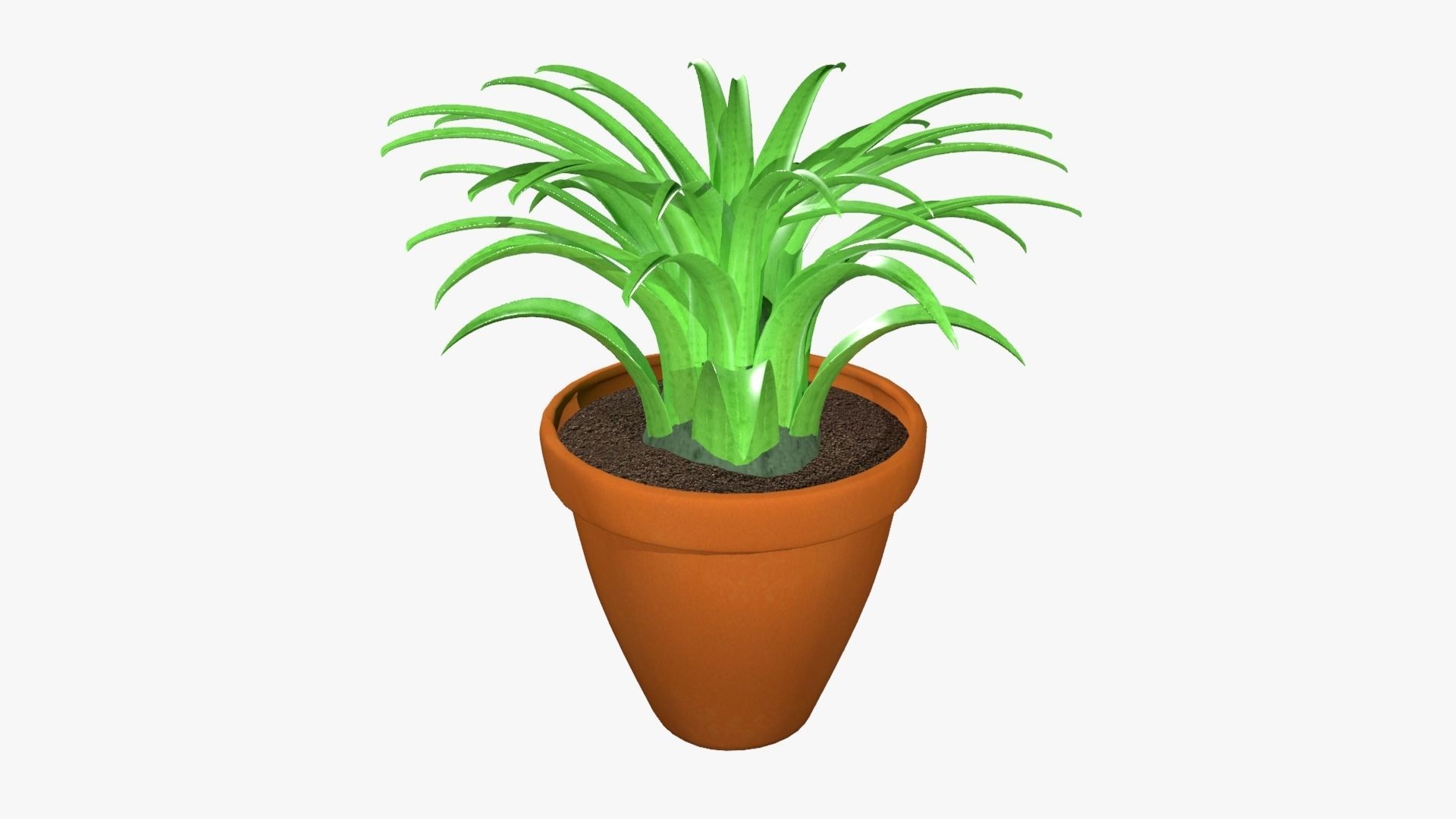 Tillandsia plant 3D model_8