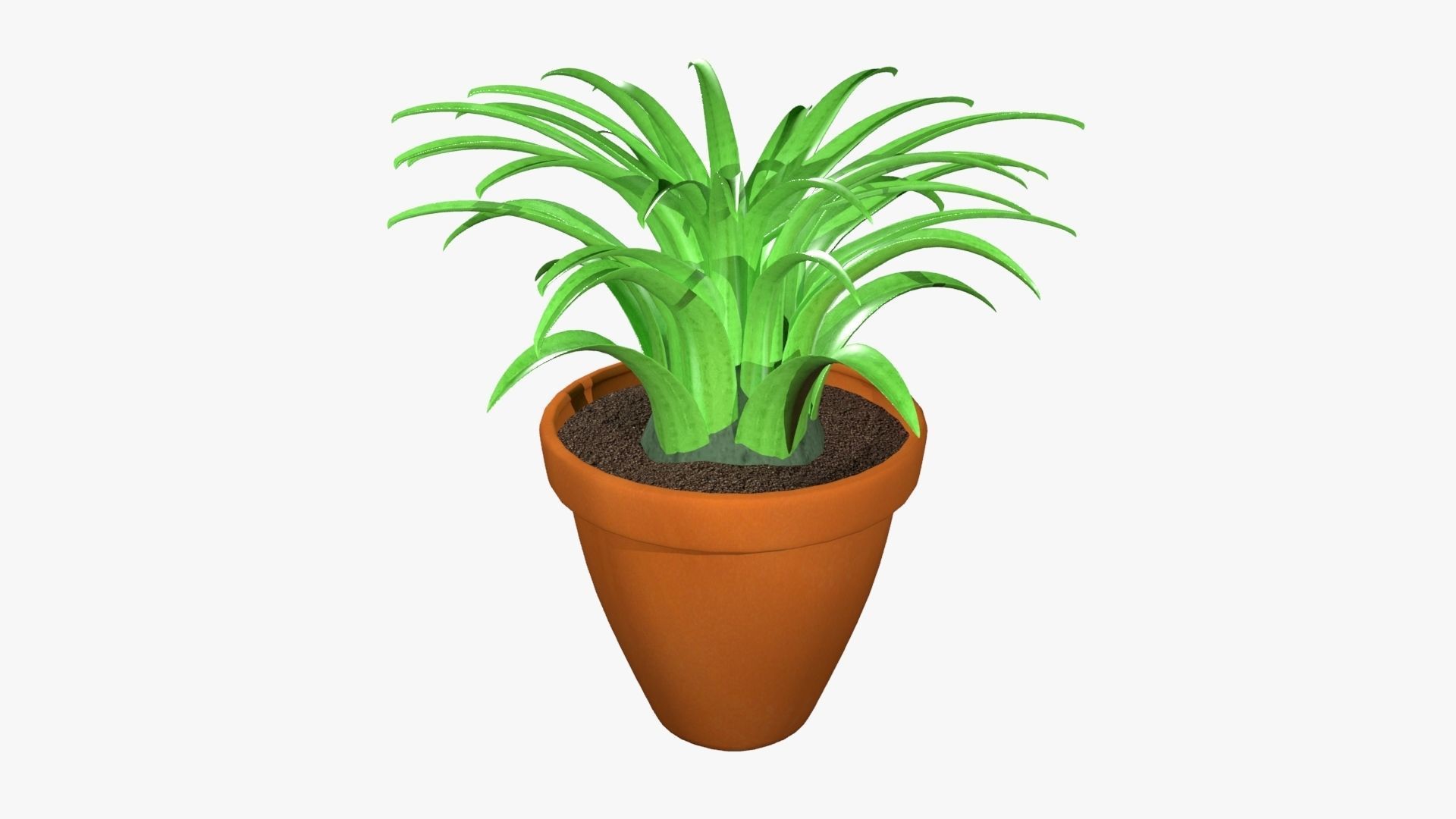 Tillandsia plant 3D model_10