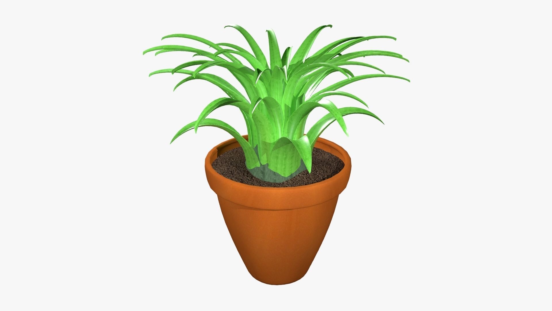Tillandsia plant 3D model_14