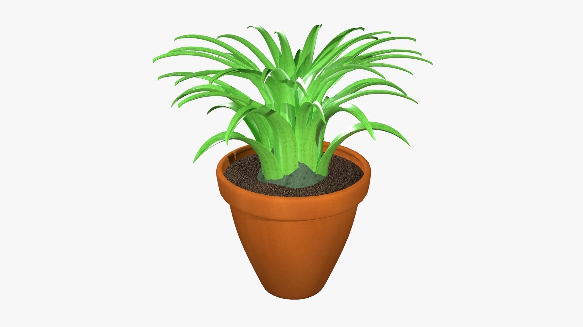 Tillandsia plant 3D model_23