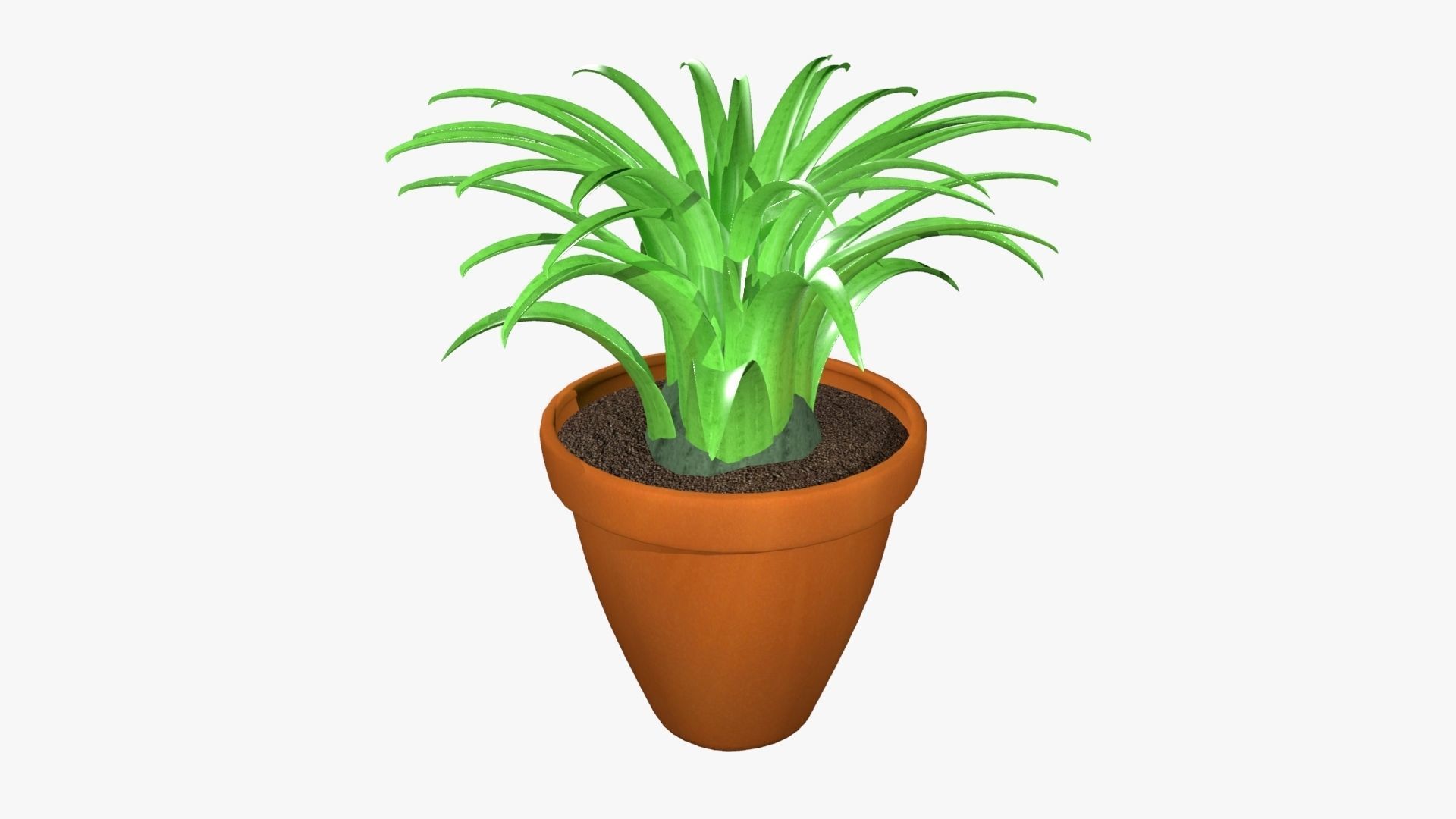 Tillandsia plant 3D model_3